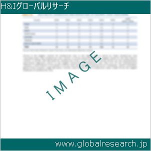 グローバルリサーチ調査レポートのイメージ
